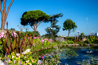 Flower garden Piazzale Michelangelo Florence_D851876