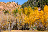 Aspen and old wagon_D852515