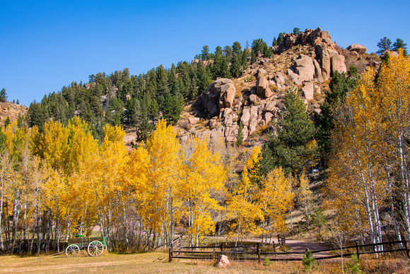 Colorado Mtn fall _D852514