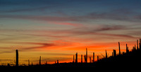 sunset Sabio Canyon Tucson AZ7400